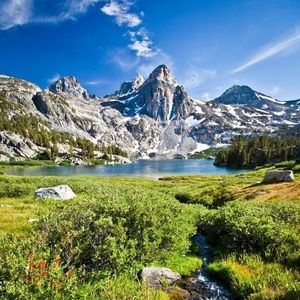 Meet your Posher, Steve